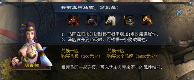 直接抽马  性价比凑合